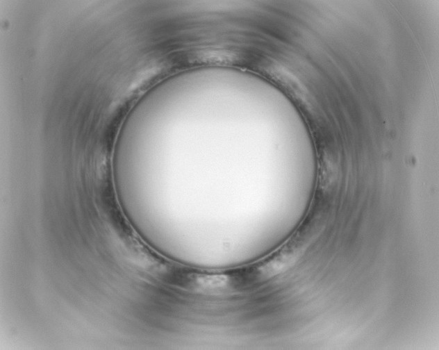 X0000088150355200705291428