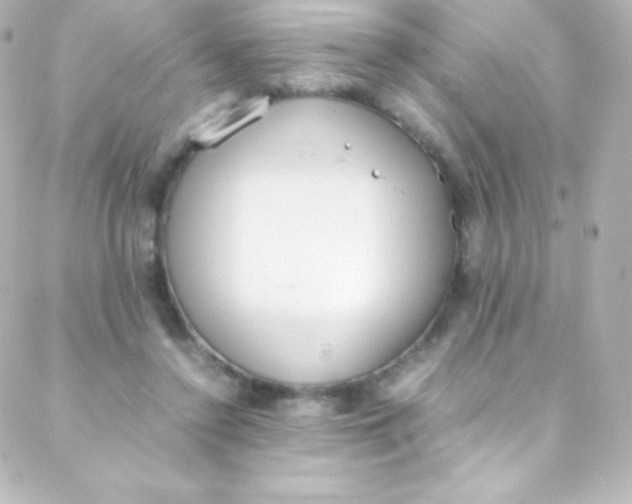 X0000088150356200705291428