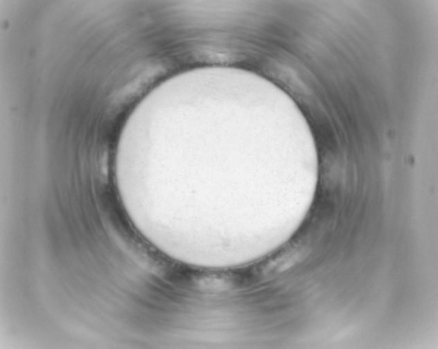 X0000088150358200705291428