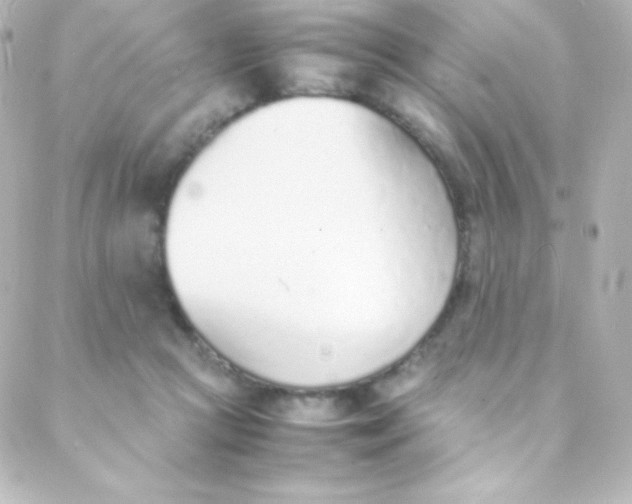 X0000088150361200705291428