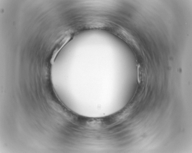 X0000088150362200705291428