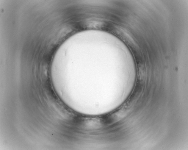 X0000088150363200705291428