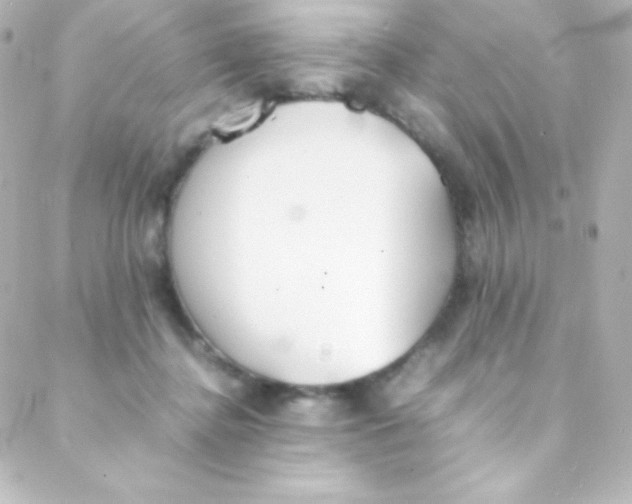 X0000088150364200705291428