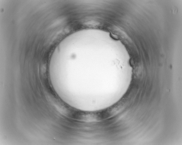 X0000088150365200705291428