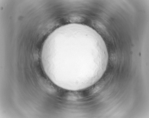 X0000088150367200705291428