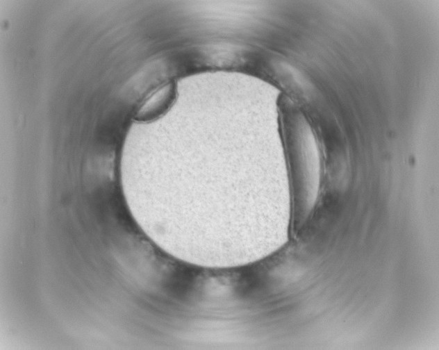 X0000088150368200705291428