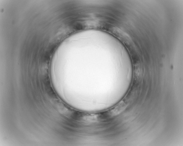 X0000088150369200705291428