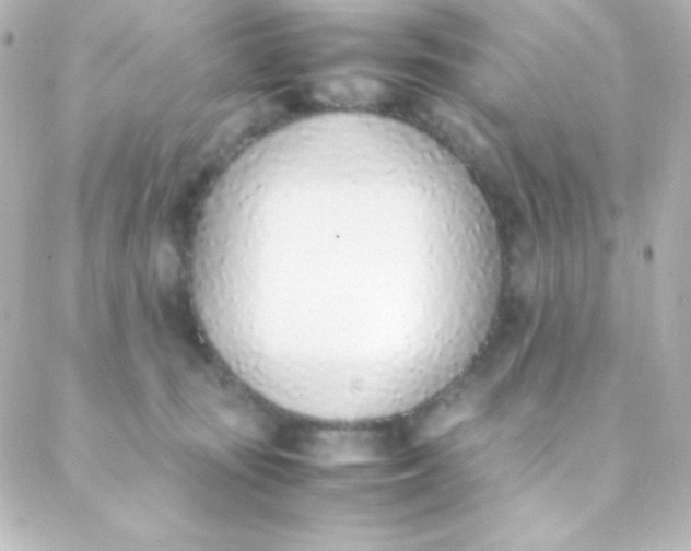 X0000088150371200705291429