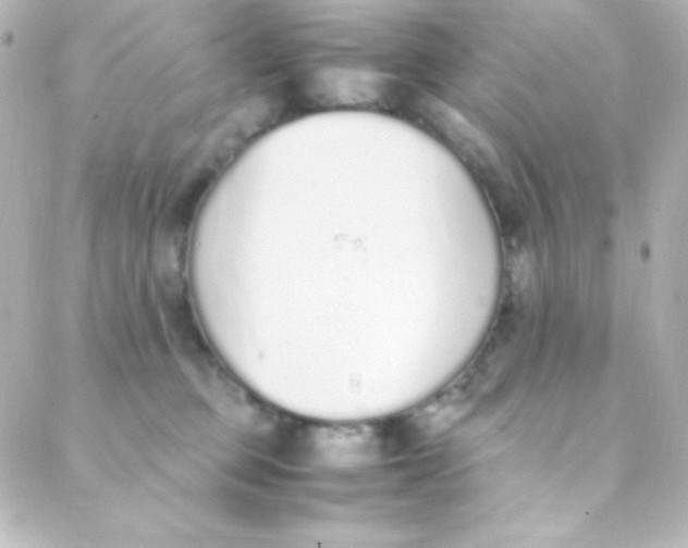 X0000088150373200705291429