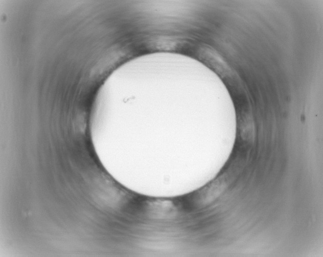 X0000088150374200705291429