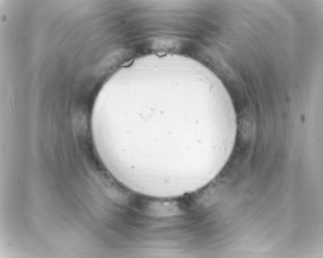 X0000088150375200705291429