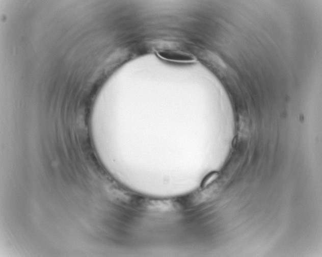 X0000088150377200705291429