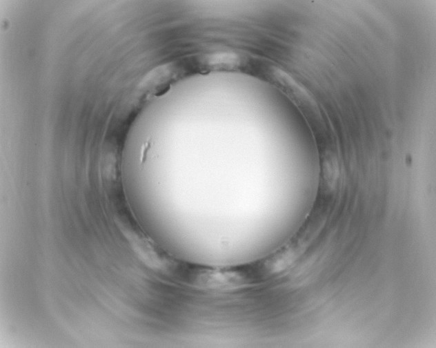 X0000088150379200705291429