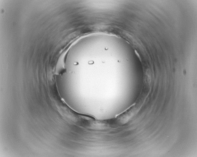 X0000088150380200705291429