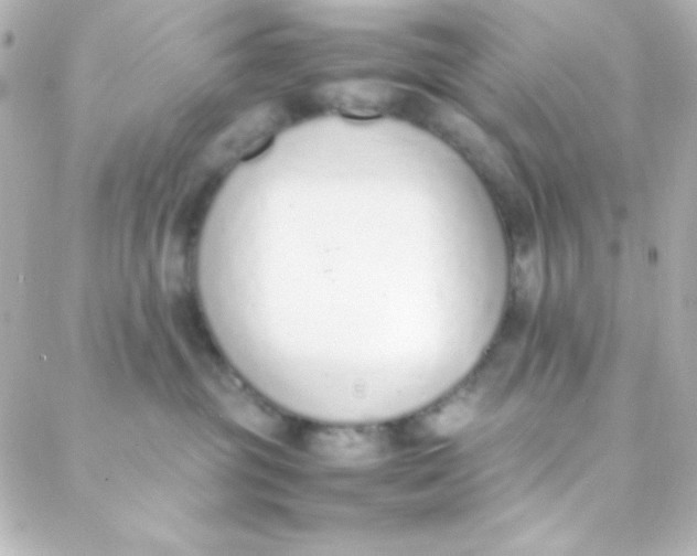 X0000088150381200705291429