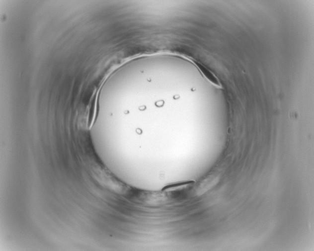 X0000088150384200705291429