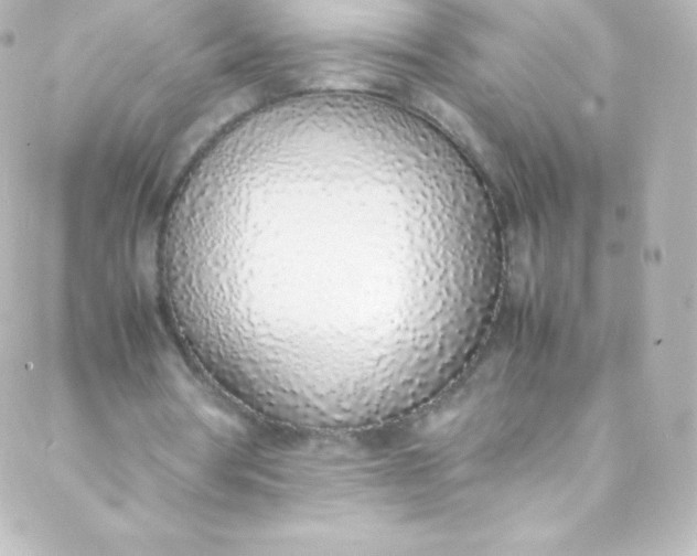 X0000088150386200705291428