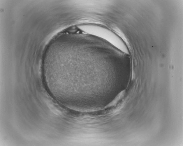 X0000088150387200705291428