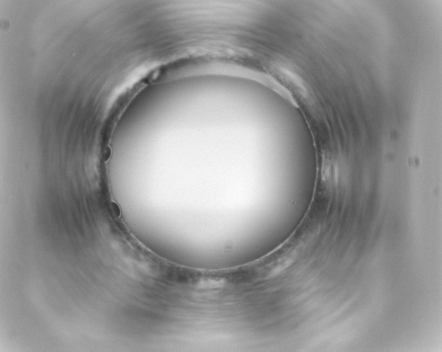 X0000088150388200705291428