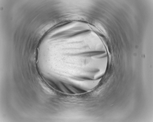 X0000088150389200705291428