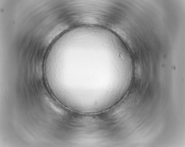 X0000088150390200705291428