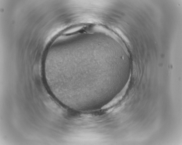 X0000088150391200705291428