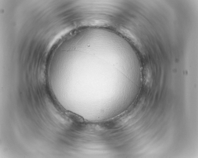 X0000088150392200705291428