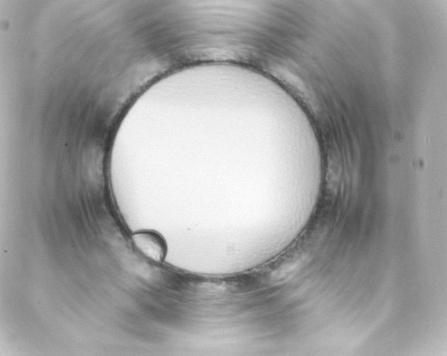 X0000088150394200705291428