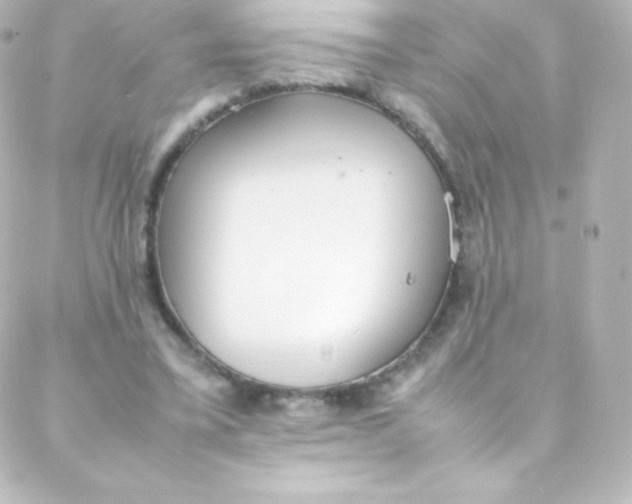 X0000088150395200705291428