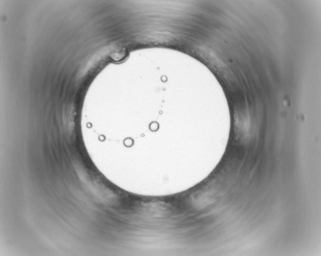 X0000088150396200705291428