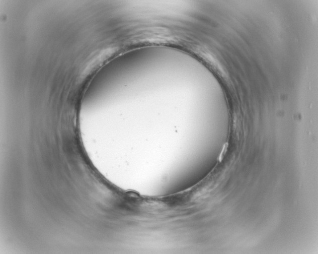 X0000088150397200705291428