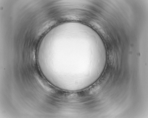 X0000088150398200705291428