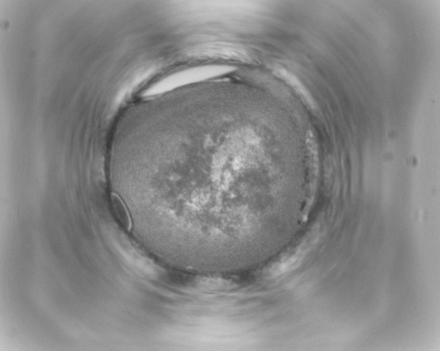 X0000088150399200705291428