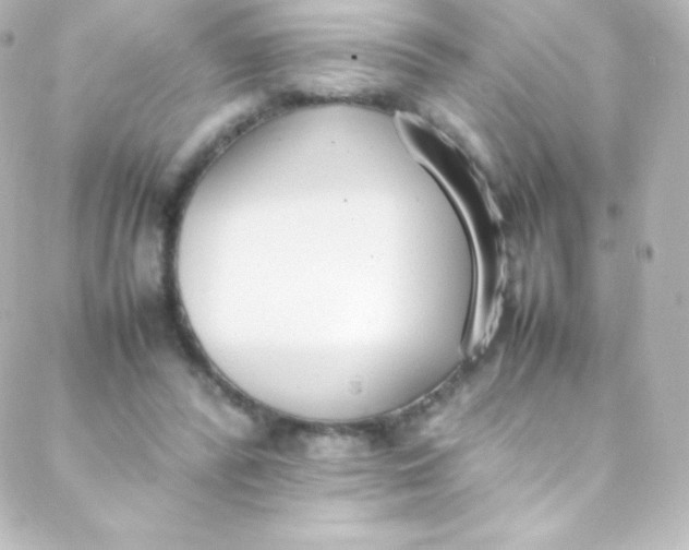 X0000088150400200705291428