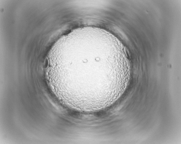 X0000088150401200705291428