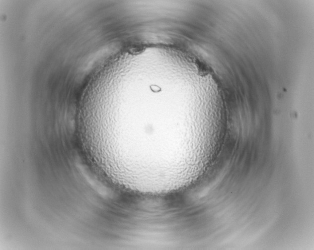 X0000088150402200705291428