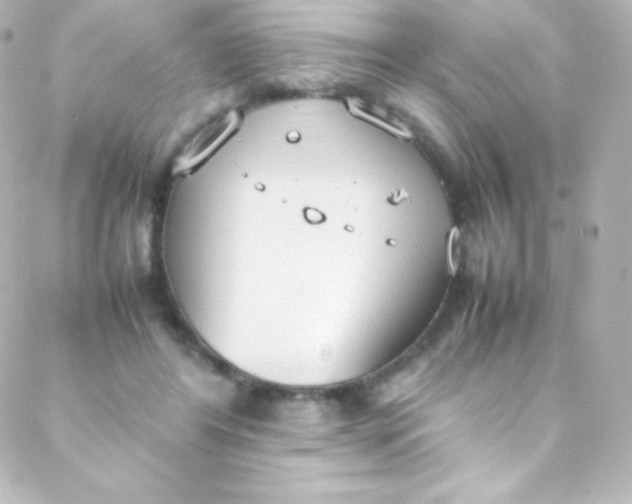 X0000088150404200705291428