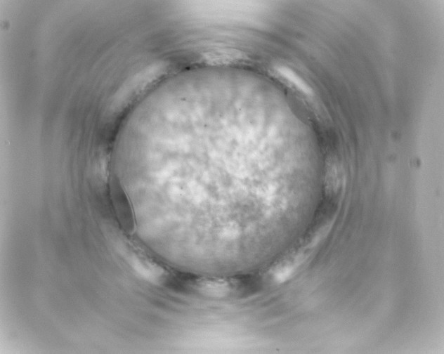 X0000088150405200705291428