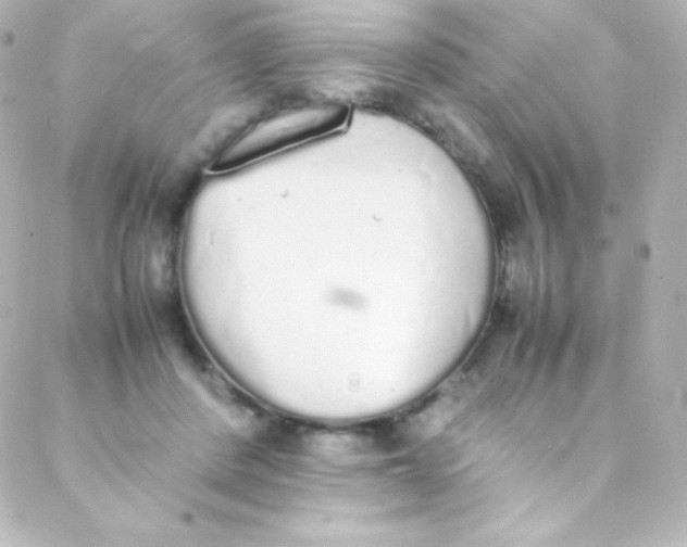 X0000088150408200705291428