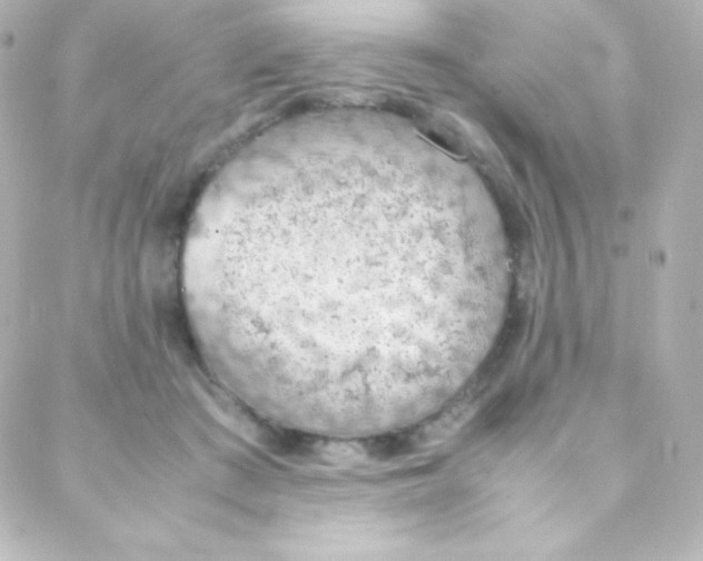 X0000088150409200705291428