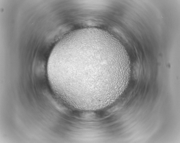 X0000088150410200705291428