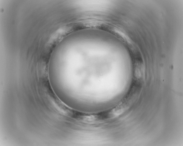 X0000088150411200705291428