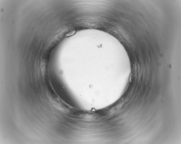 X0000088150412200705291428