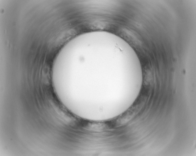 X0000088150414200705291427