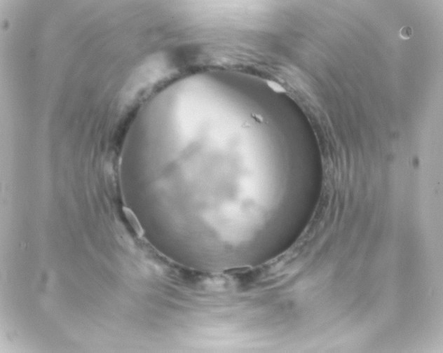 X0000088150415200705291427