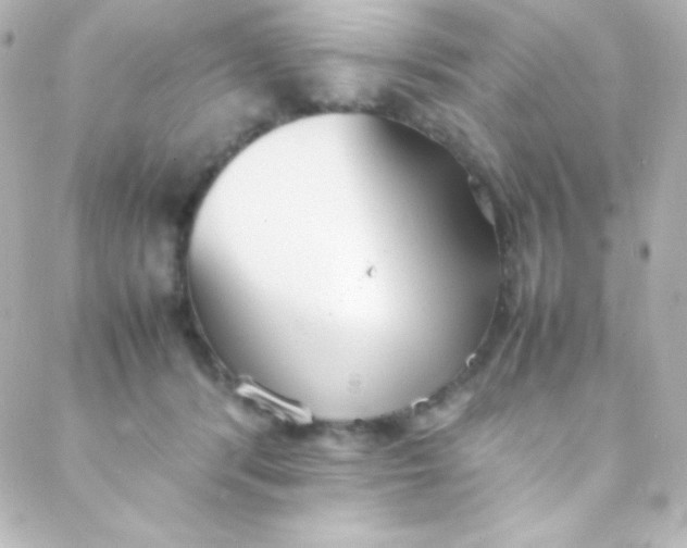 X0000088150416200705291427