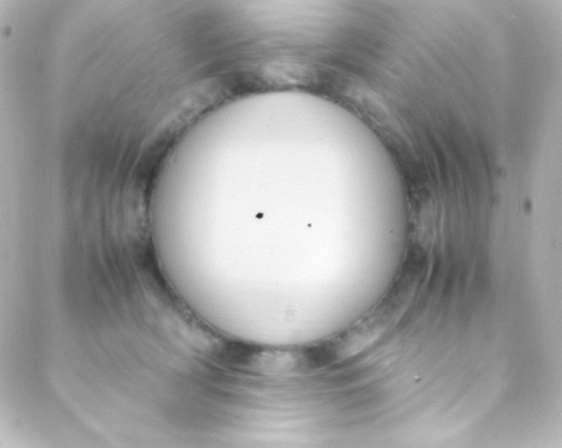 X0000088150418200705291427