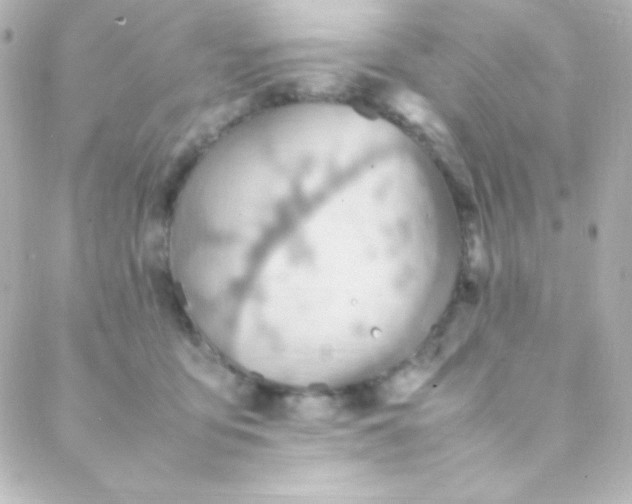 X0000088150419200705291427