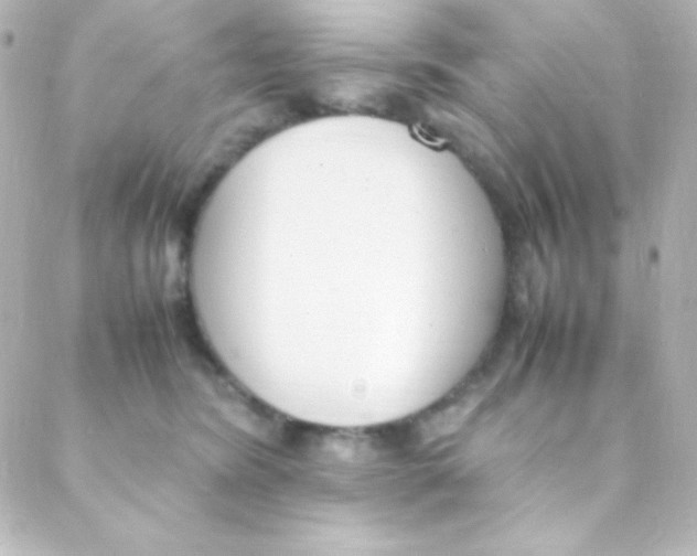 X0000088150420200705291427