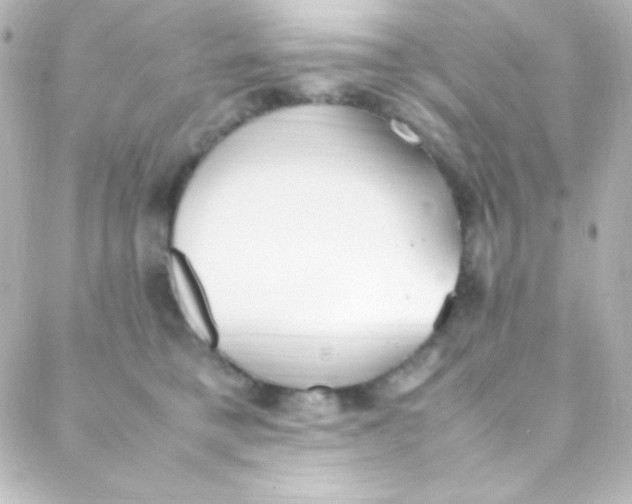 X0000088150421200705291427